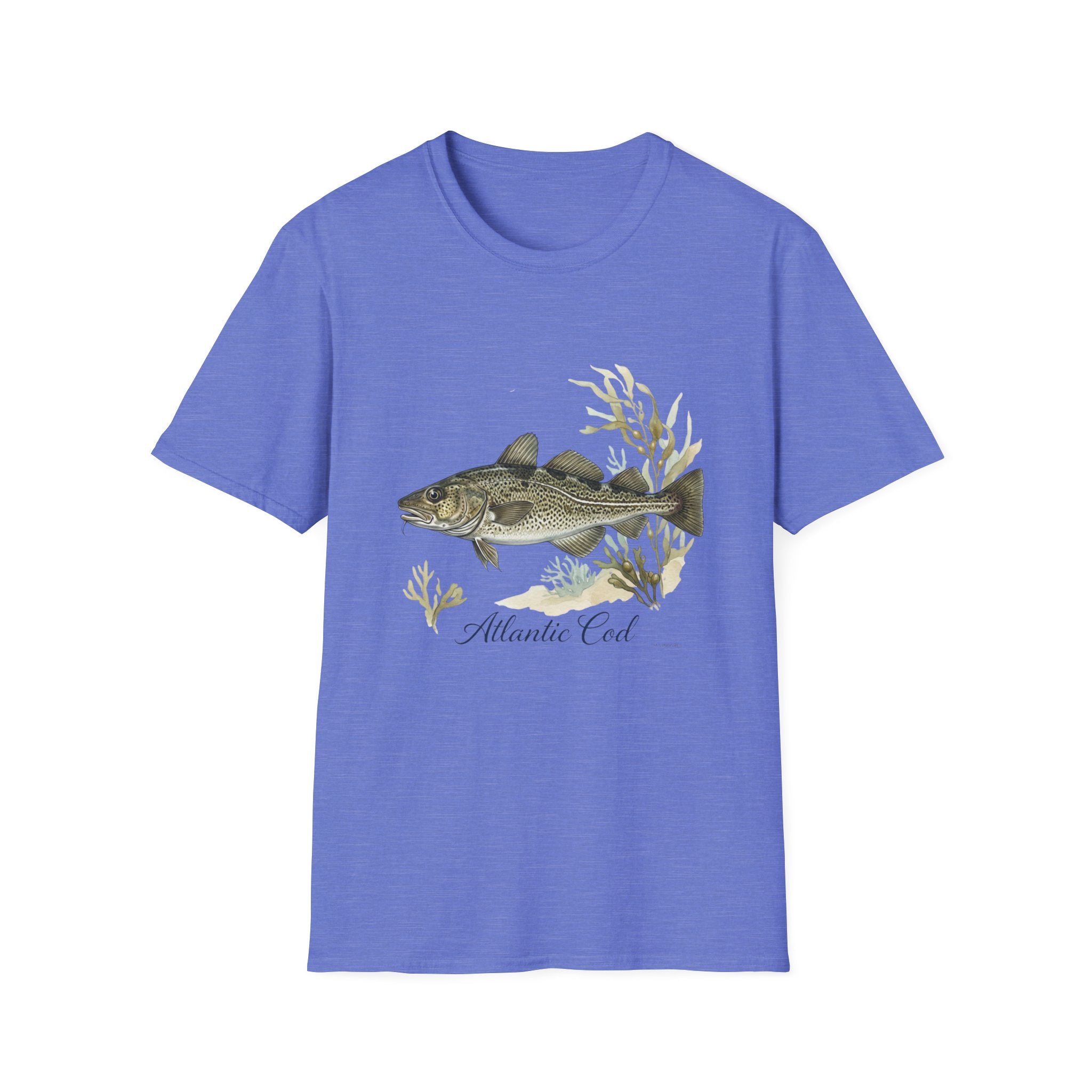 Atlantic Cod
