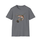 Trout, Reel, Fly, Color