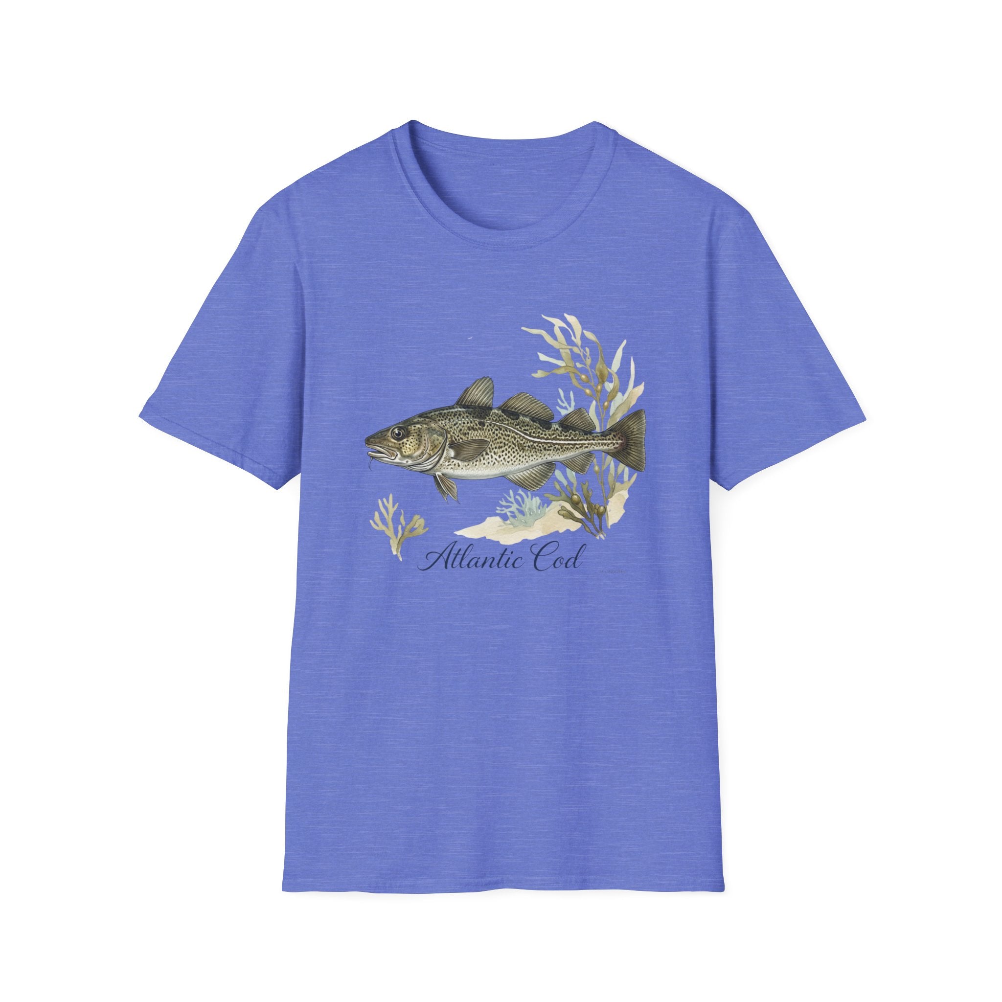 Atlantic Cod