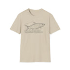 Tarpon Cruise