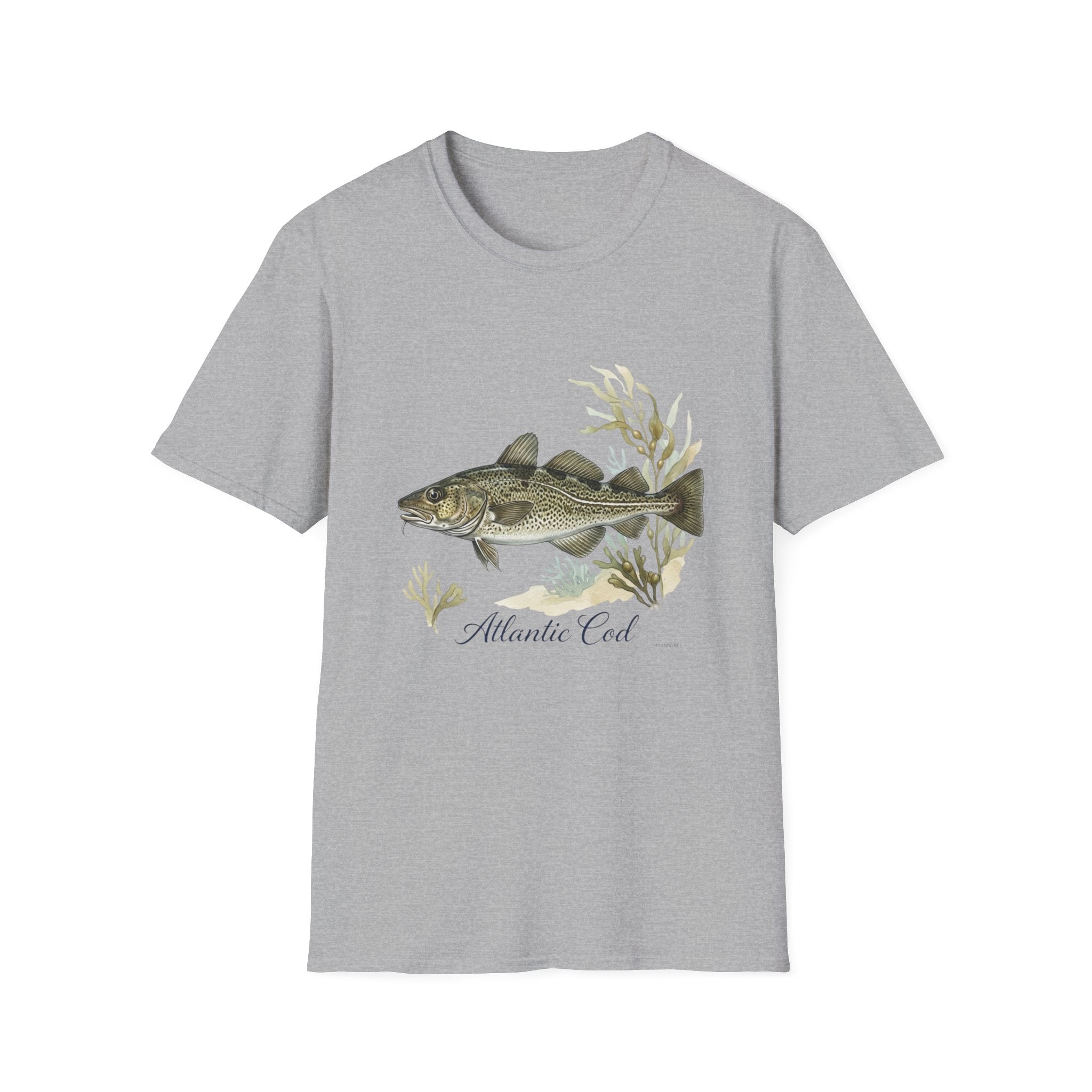 Atlantic Cod